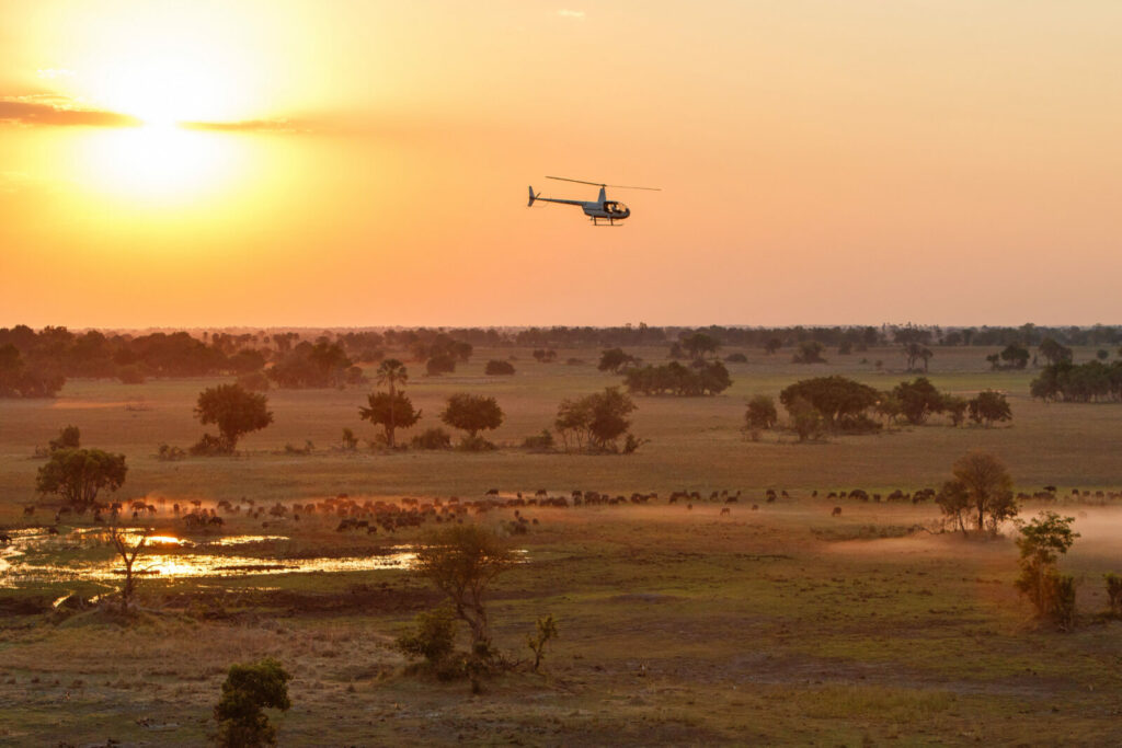 Xugana Island Lodge (Okavango Delta)