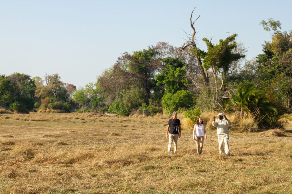 Nxamaseri Island Lodge (Okavango Delta)