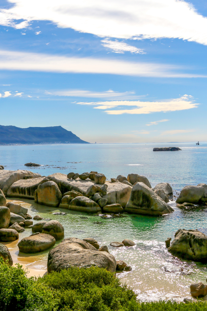 Peninsula & Penguin Tour – Half Day (Private)
