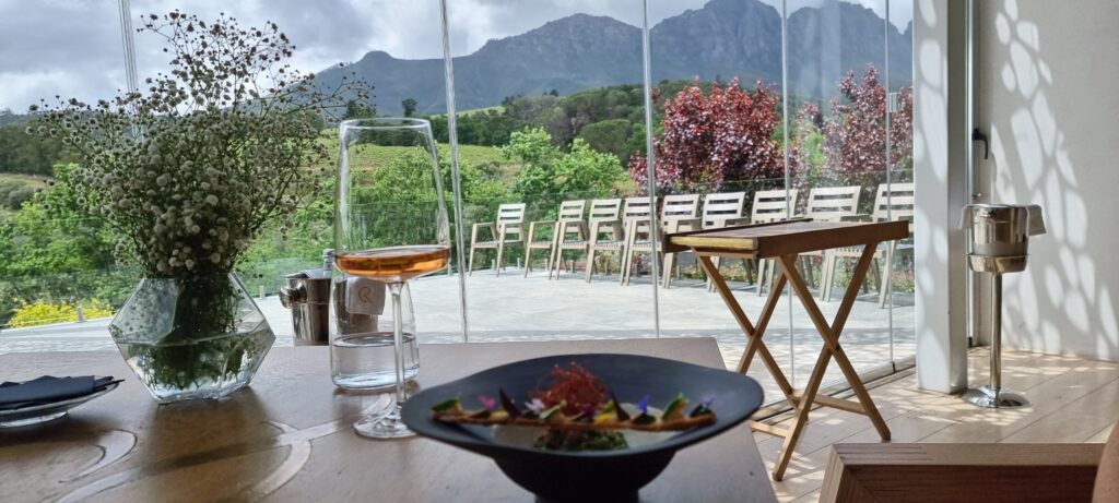 Wine Tour
