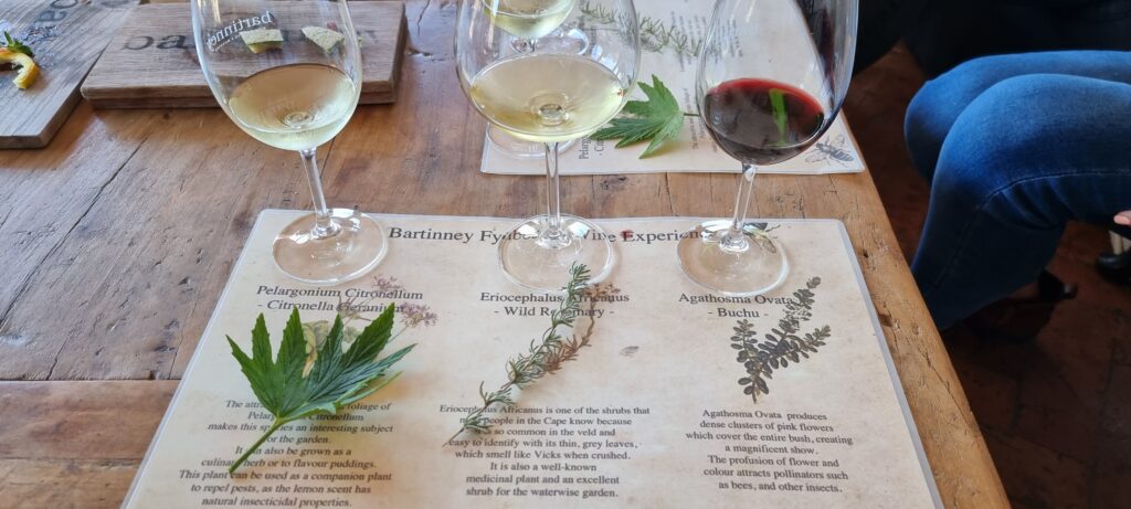 Wine Tour