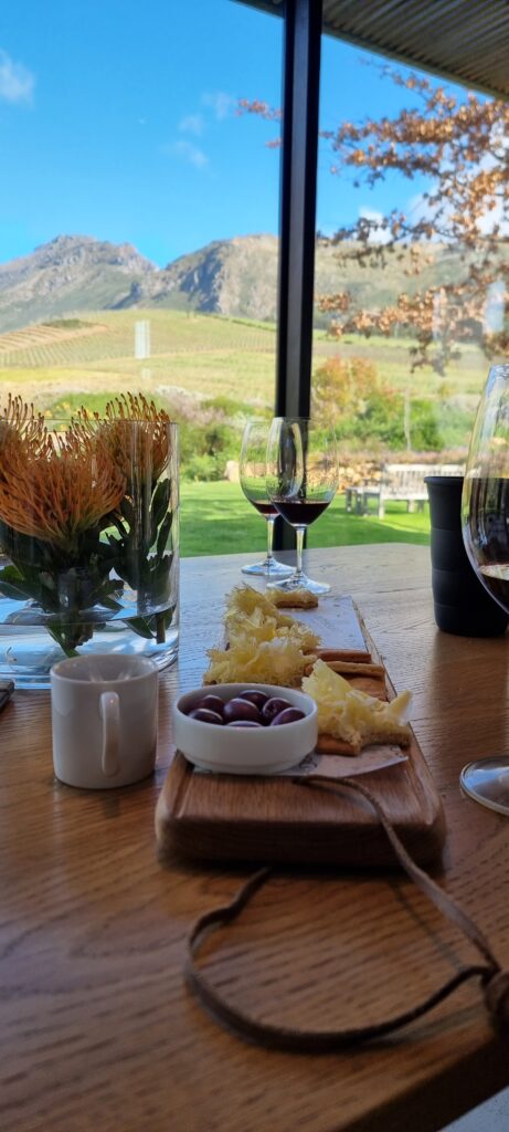 Wine Tour
