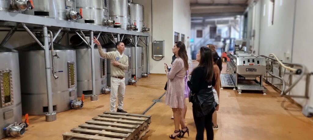 Wine Tour