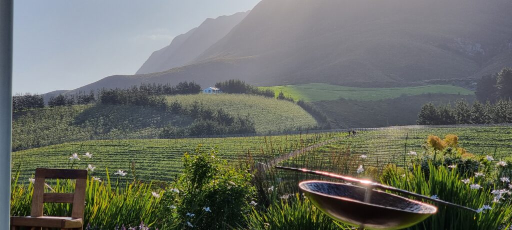 Wine Tour