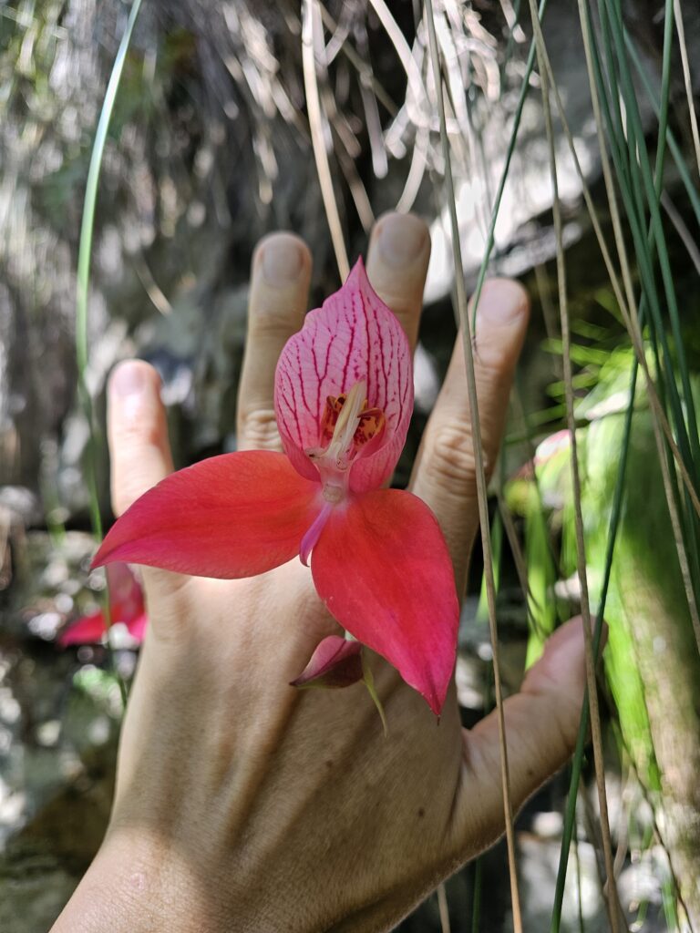 Orange Kloof Hike – Hell’s Gate