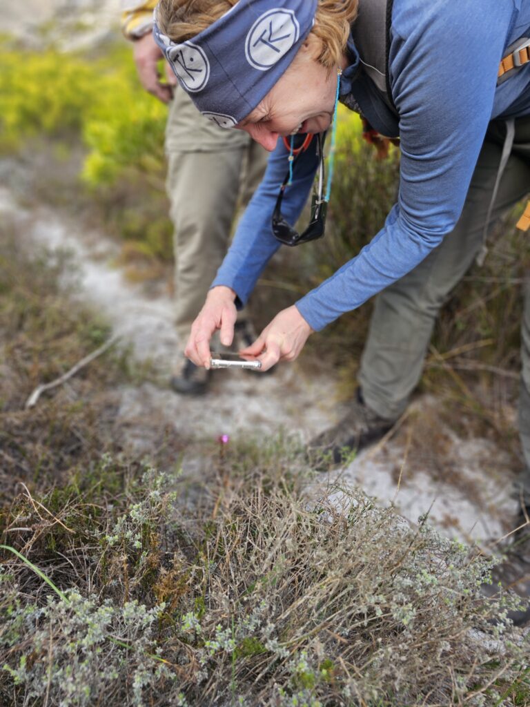 Orchid Hunting Tours