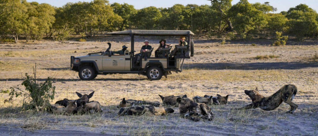 Savute Safari Lodge
