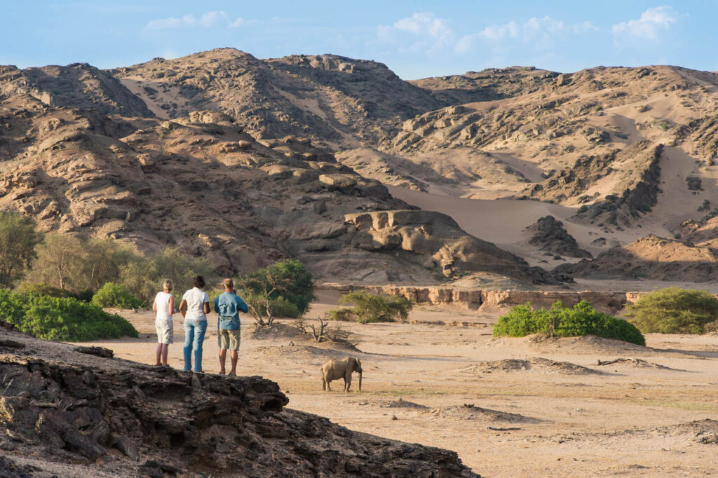 Skeleton Coast Haonib