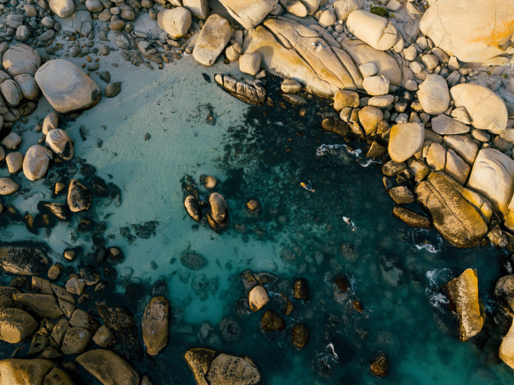 Peninsula & Penguin Tour – Half Day (Private)