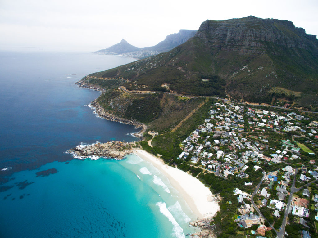 Peninsula & Penguin Tour – Half Day (Private)