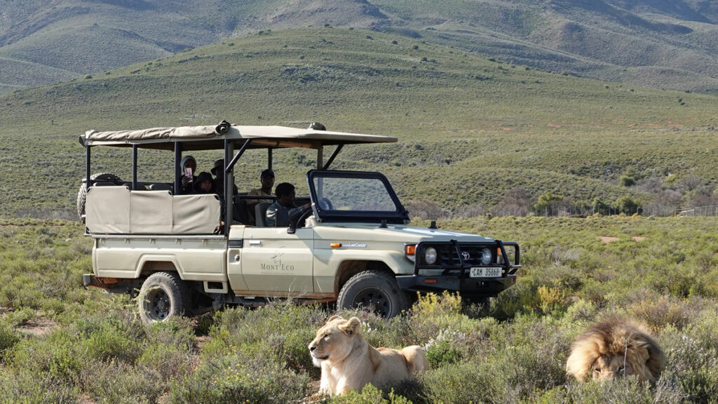 Mont Eco Private Game Reserve