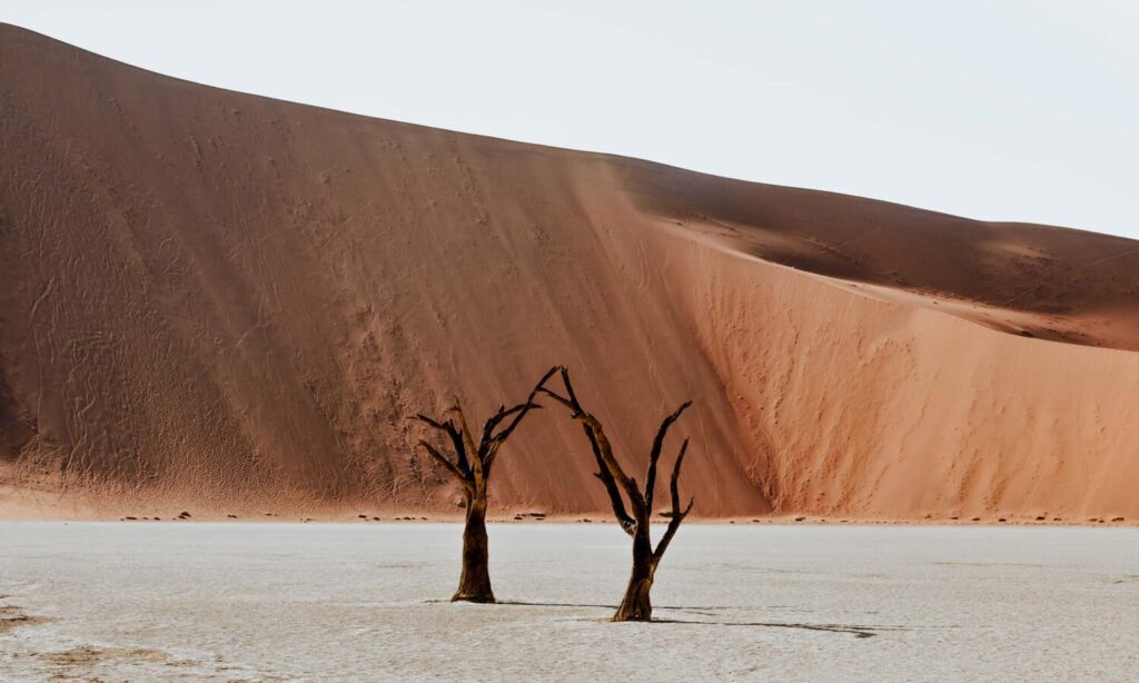 Kulala Desert Lodge