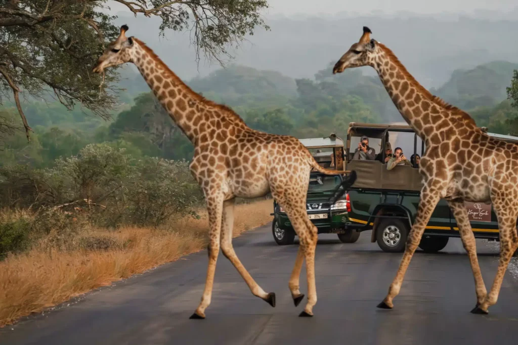 Kruger Gate Luxury Suites ****