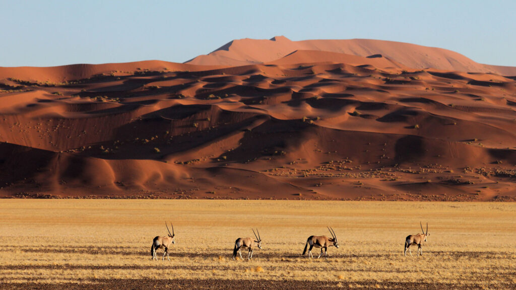 Kulala Desert Lodge