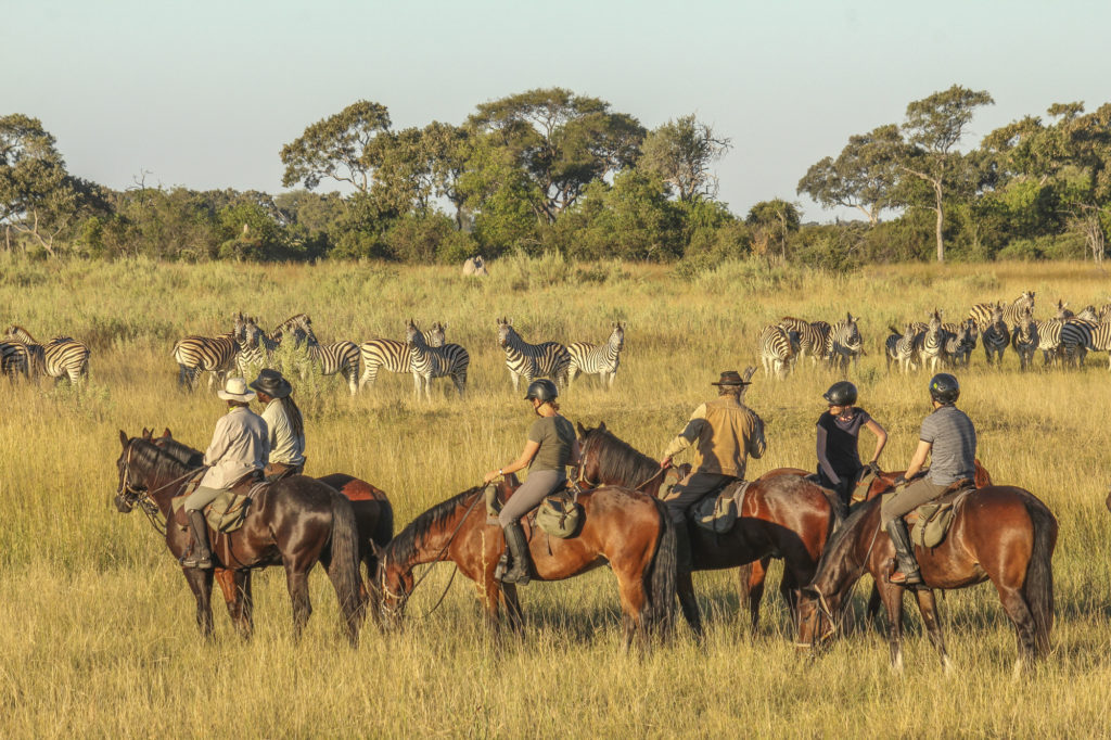 Safari Private Game Reserve