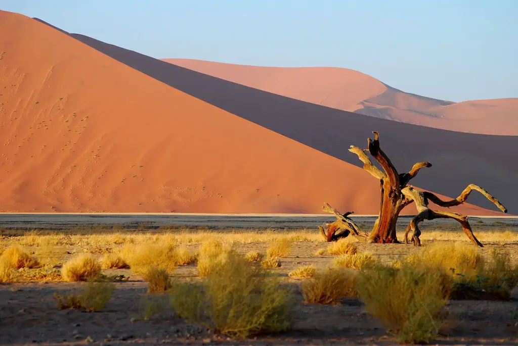 Kulala Desert Lodge