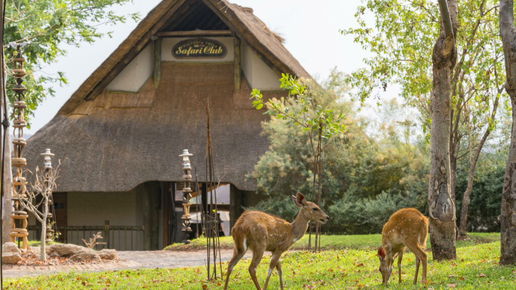 Victoria Falls Safari Club ****