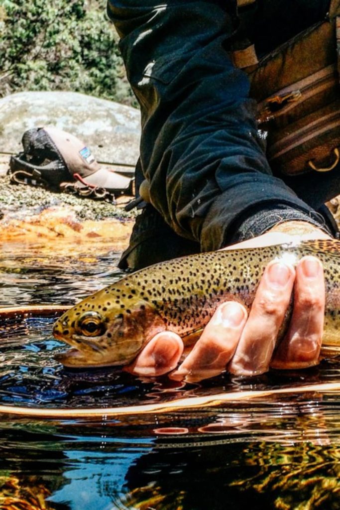 Fly Fishing
