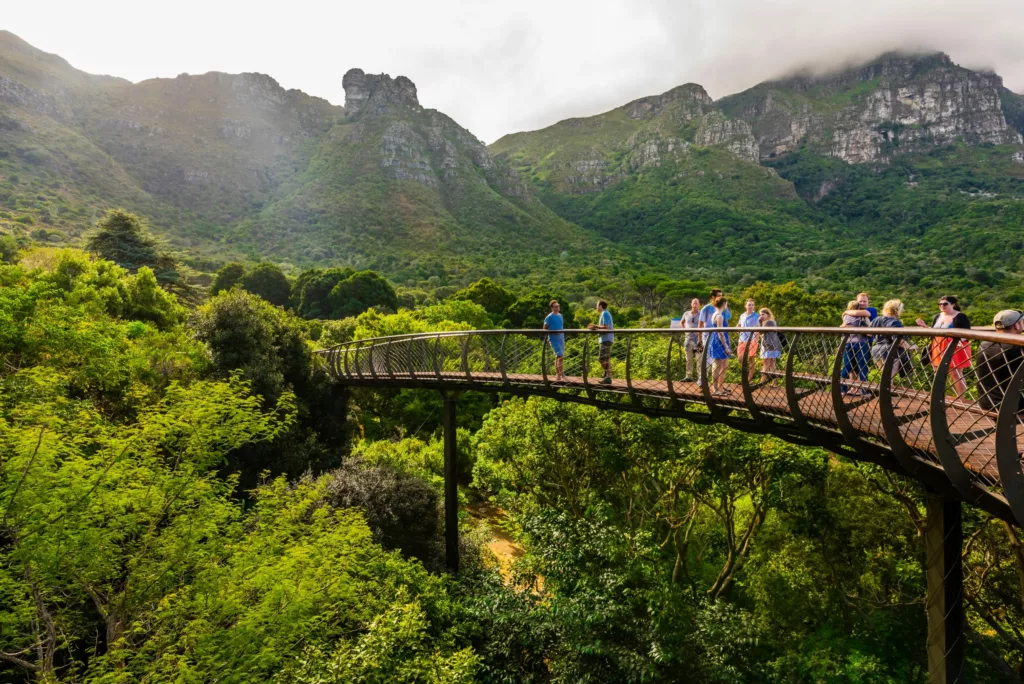 Kirstenbosch Gardens guided walk